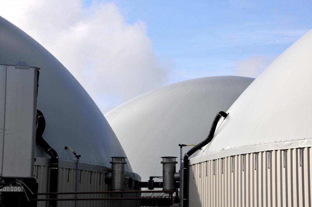 Tamar's Hampshire AD plant